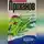 Александр Проханов - Крым