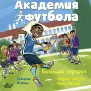 Постер книги Академия футбола. Большой сюрприз