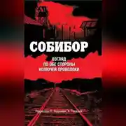 Постер книги Собибор. Взгляд по обе стороны колючей проволоки