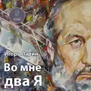 Постер книги Во мне два Я