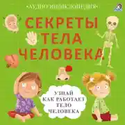 Постер книги Секреты тела человека. Узнай, как работает тело человека