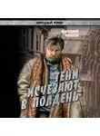 Анатолий Иванов - Тени исчезают в полдень.Том 2