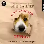 Постер книги Случайный турист