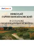 Николай Гарин-Михайловский - В сутолоке провинциальной жизни