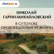 Постер книги В сутолоке провинциальной жизни
