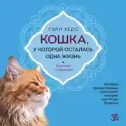 Постер книги Кошка, у которой осталась одна жизнь