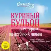Постер книги Куриный бульон для души. 101 история о любви