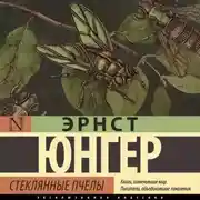 Постер книги Стеклянные пчелы