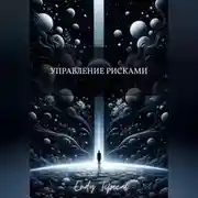 Постер книги Управление Рисками