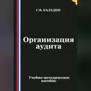 Постер книги Организация аудита