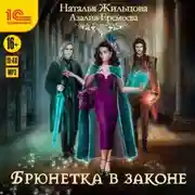 Постер книги Академия магического права. Брюнетка в законе
