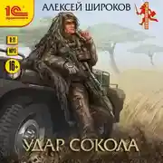 Постер книги Удар сокола