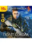 Алексей Широков - Полет сокола