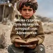 Постер книги Указка судьбы: Путь мальчика, который спас Афганистан