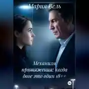 Постер книги Механизм притяжения: когда двое это один 18++