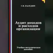 Постер книги Аудит доходов и расходов организации