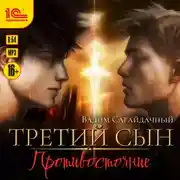 Постер книги Третий сын. Противостояние