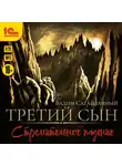 Вадим Сагайдачный - Третий сын. Стремительное падение