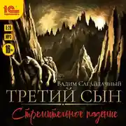 Постер книги Третий сын. Стремительное падение