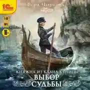 Постер книги Выбор судьбы
