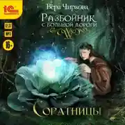 Постер книги Разбойник с большой дороги. Соратницы