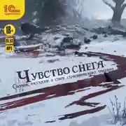 Постер книги Чувство снега. Сборник рассказов