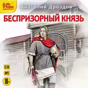 Постер книги Беспризорный князь