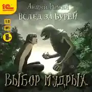 Постер книги Выбор мудрых