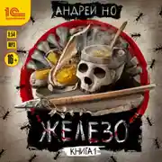 Постер книги Железо. Книга 1