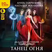 Постер книги Академия Стихий. Танец Огня