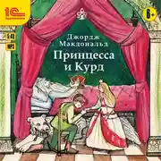 Постер книги Принцесса и Курд