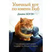 Постер книги Уличный кот по имени Боб. Как человек и кот обрели надежду на улицах Лондона
