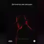 Постер книги Детонатор уже запущен