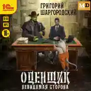 Постер книги Оценщик. Невидимая сторона