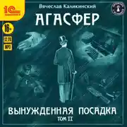Постер книги Агасфер. Вынужденная посадка. Том II