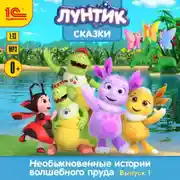 Постер книги Необыкновенные истории волшебного пруда. Выпуск 1