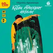 Постер книги Когда отдыхают ангелы