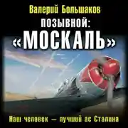 Постер книги Позывной: «Москаль»