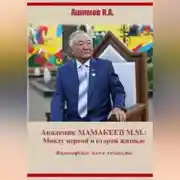 Постер книги Академик М.М.Мамакеев (Философское эссе о личности)