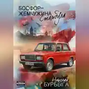 Постер книги Босфор – жемчужина Стамбула