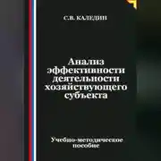 Постер книги Анализ эффективности деятельности хозяйствующего субъекта
