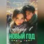Постер книги Назад в Новый год