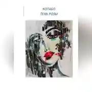 Постер книги Тень розы