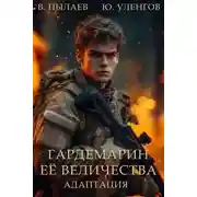 Постер книги Адаптация