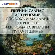 Постер книги Сполохъ и майданъ (Отрывокъ изъ романа времени Пугачевщины)