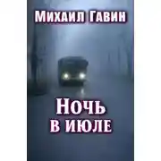 Постер книги Ночь в июле