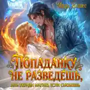 Постер книги Попаданку не разведешь, или Укради магию, если сможешь