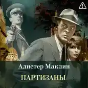 Постер книги Партизаны