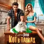 Постер книги Кот в тапках