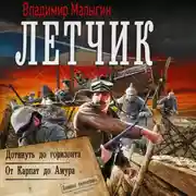 Постер книги Лётчик-2